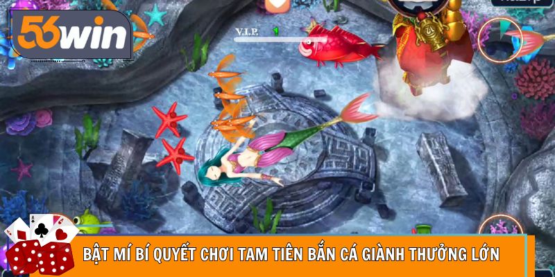 Bật mí bí quyết chơi tam tiên bắn cá giành thưởng lớn