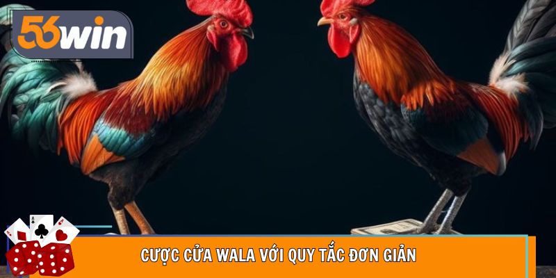 Cược cửa Wala với quy tắc đơn giản
