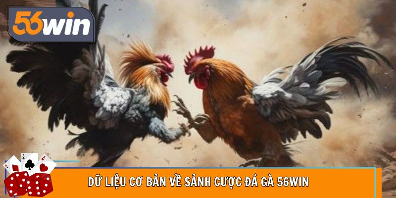 Dữ liệu cơ bản về sảnh cược đá gà 56WIN