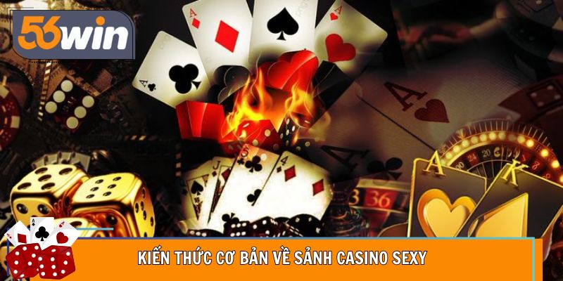 Kiến thức cơ bản về sảnh casino Sexy