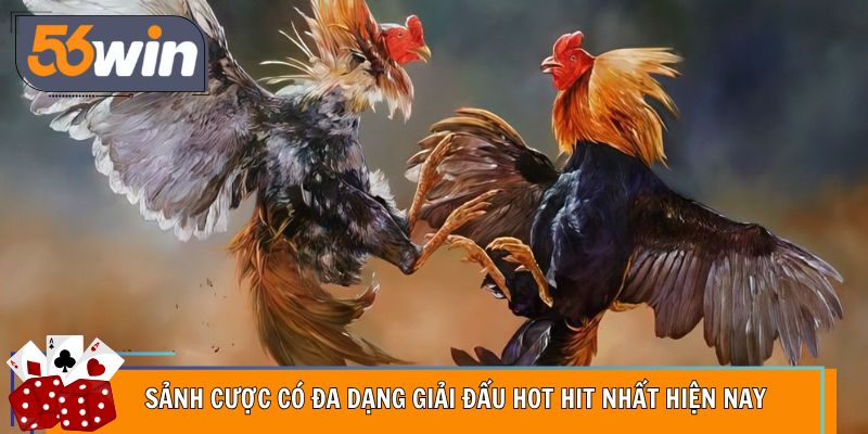 Sảnh cược có đa dạng giải đấu hot hit nhất hiện nay