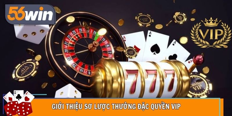 Chương trình VIP luôn có ưu đãi vượt trội.